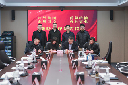 陜外集團與周至縣政府、愛菊糧油、金周國投、央林實業座談交流并簽署戰略合作協議